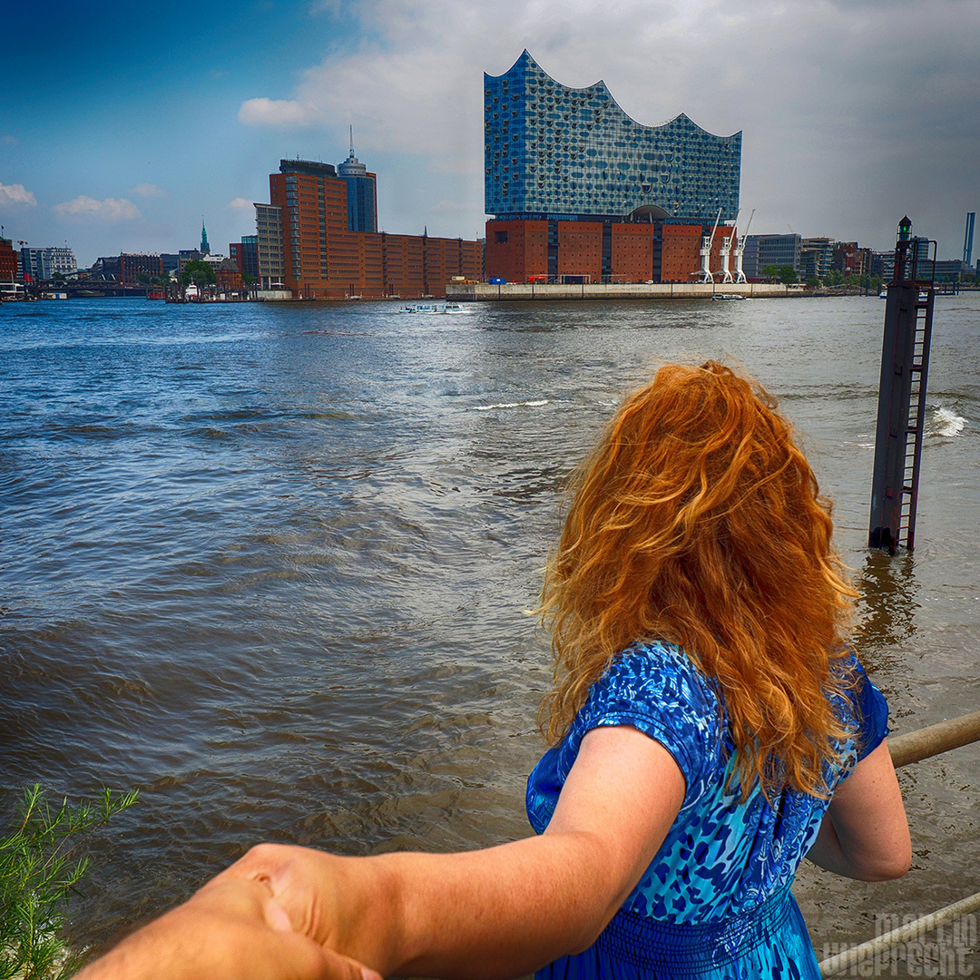 I Follow You: Elbphilharmonie