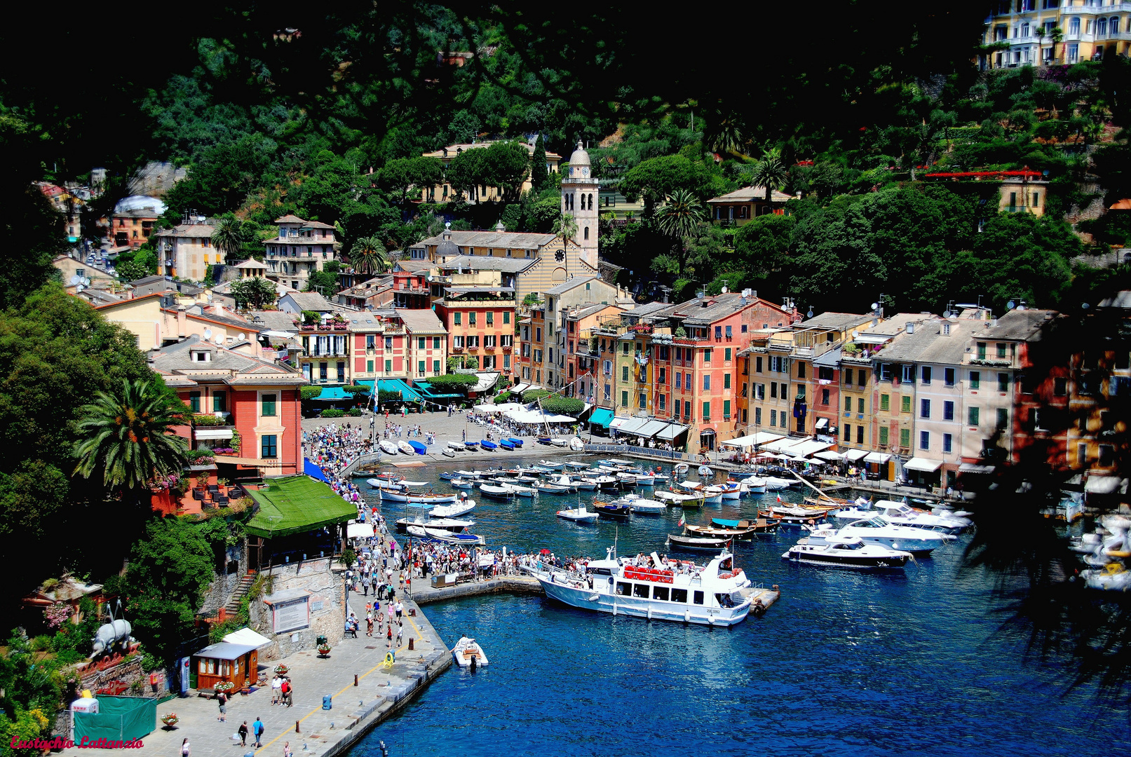 I found my love in Portofino