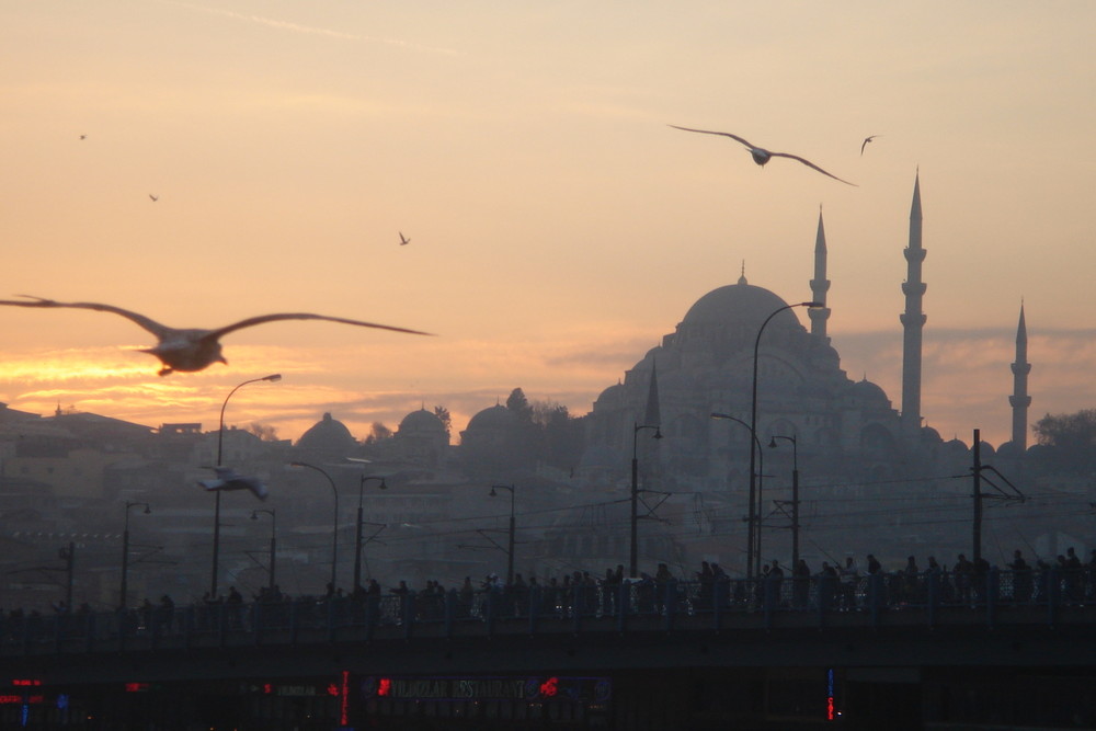 I Gabbiani vanno a nanna nell'ORO del Corno d'Istanbul