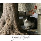 I gatti di Garda I