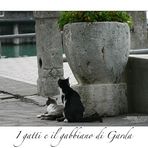 I gatti di Garda VI