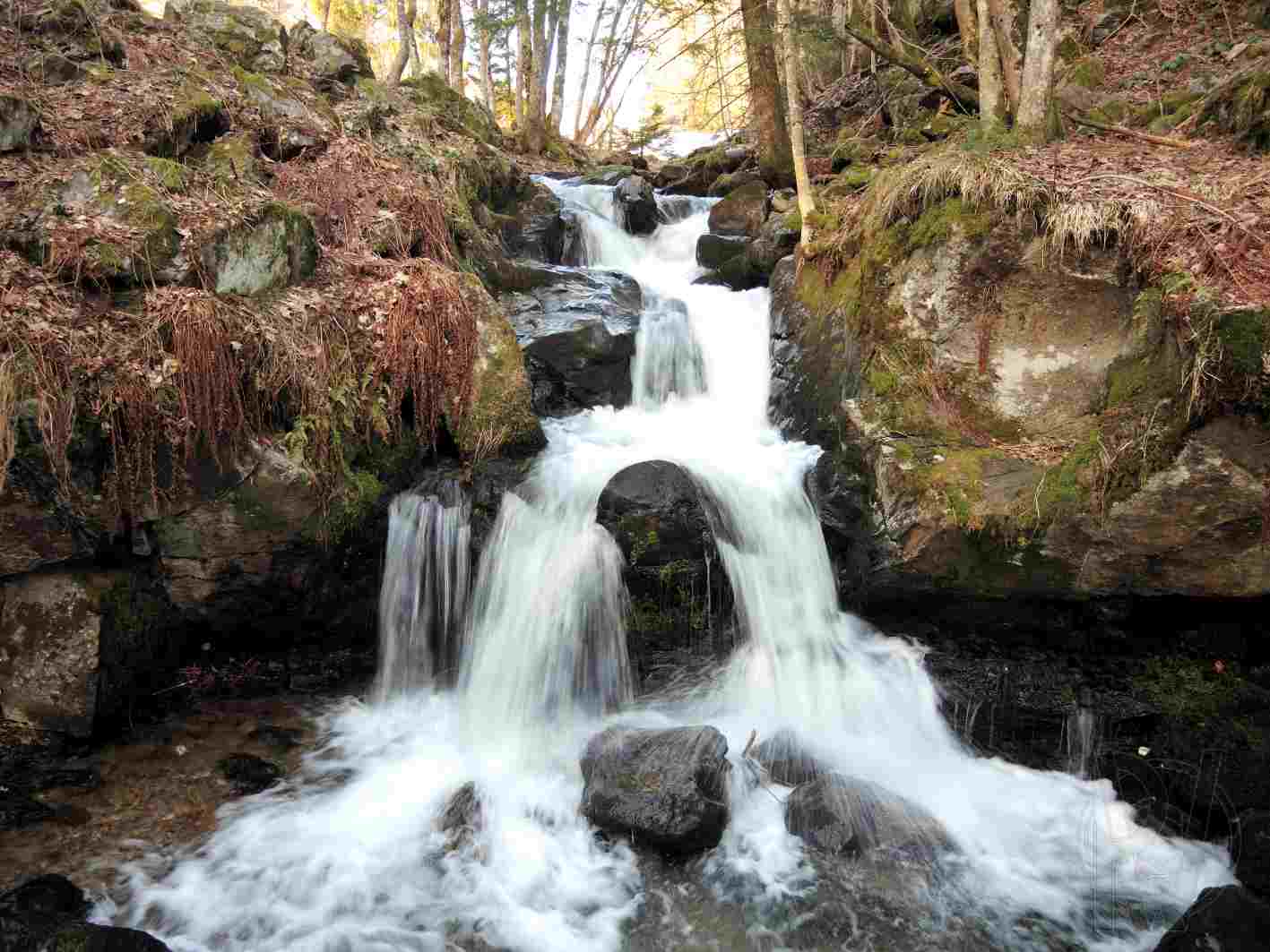 I Gesicht im Wasserfall 