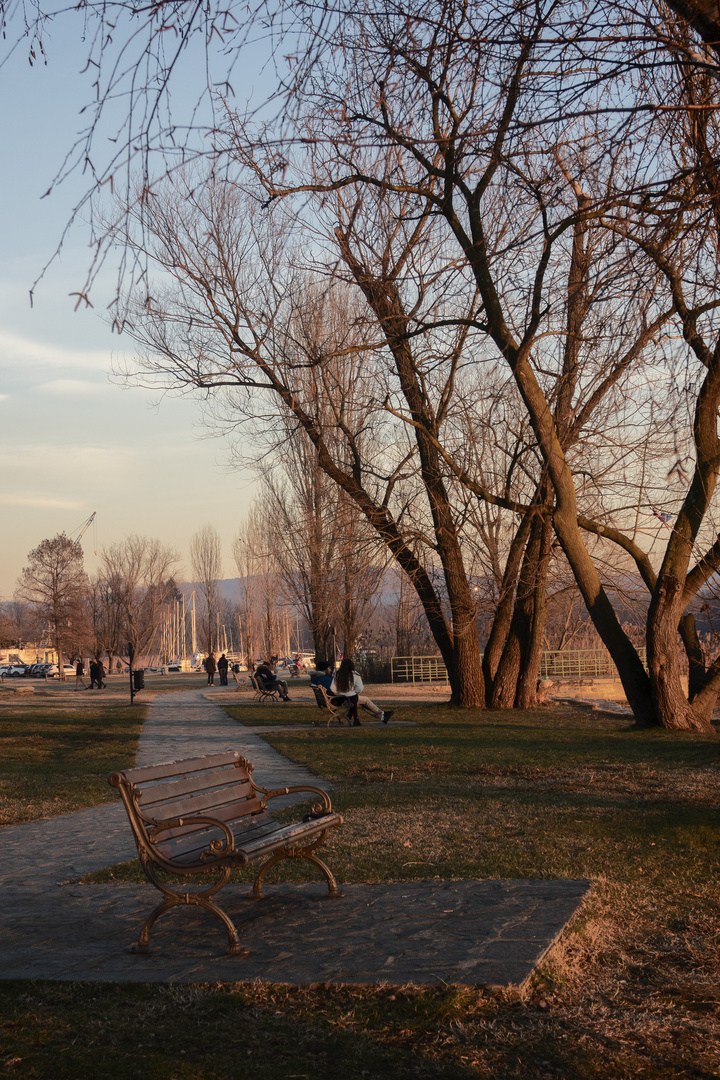 I giardini di Angera