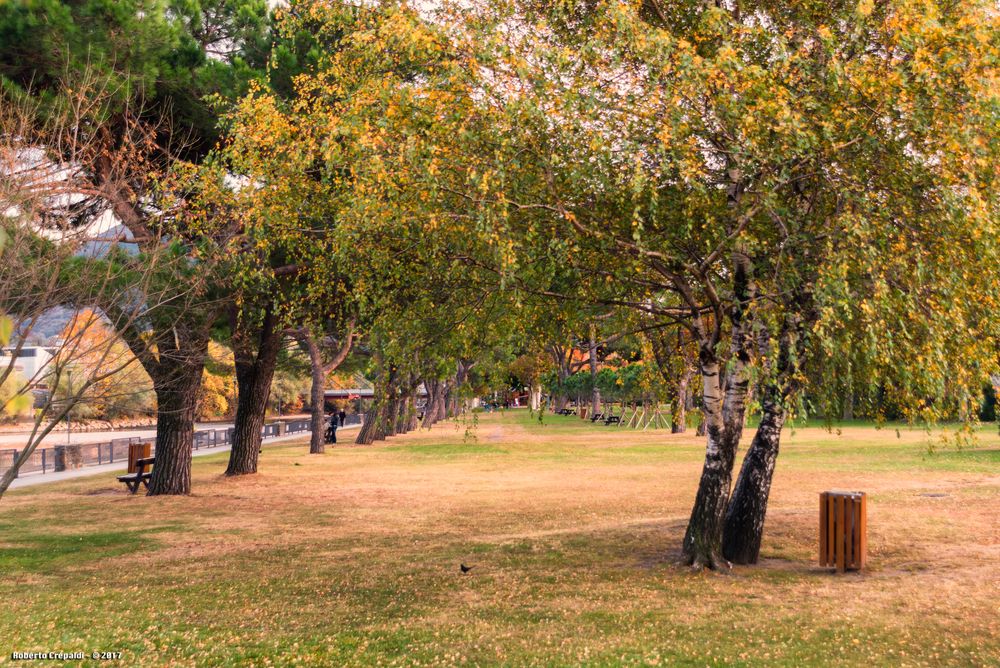 I giardini di Germignaga