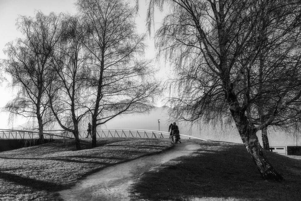 I giardini di Germignaga