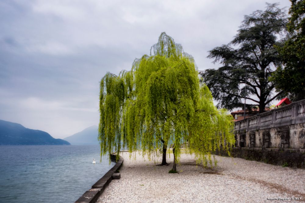 I giardini di Porto Valtravaglia