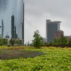 I giardini di viale Melchiorre Gioia, Milano