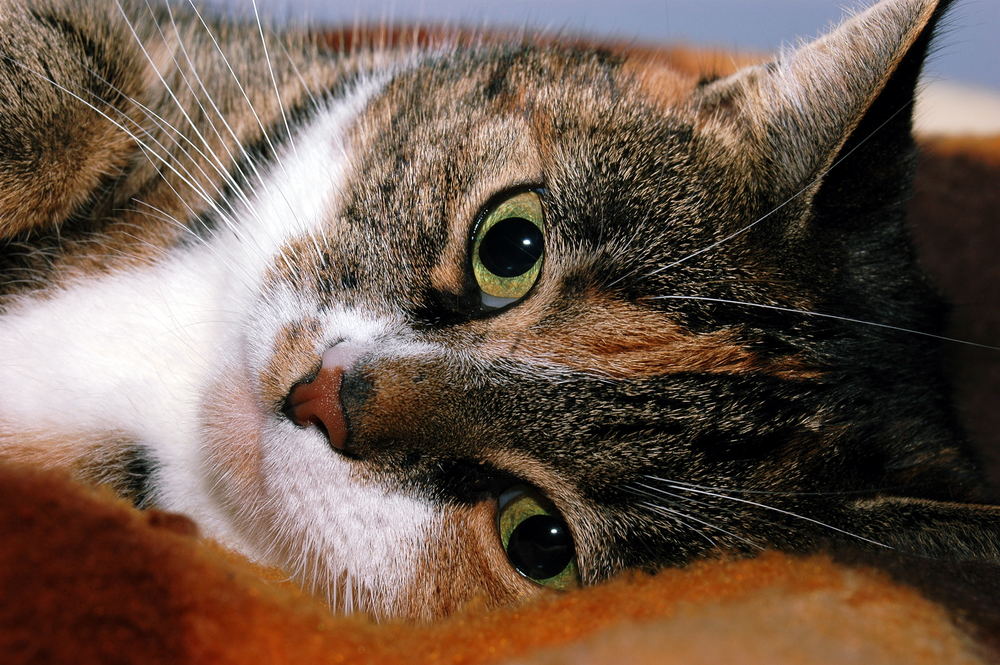 I got my eyes on you