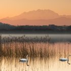 I GUARDIANI DEL LAGO__Ringrazio fotocommunity per averla scelta come copertina del 18 Dicembre 2018 