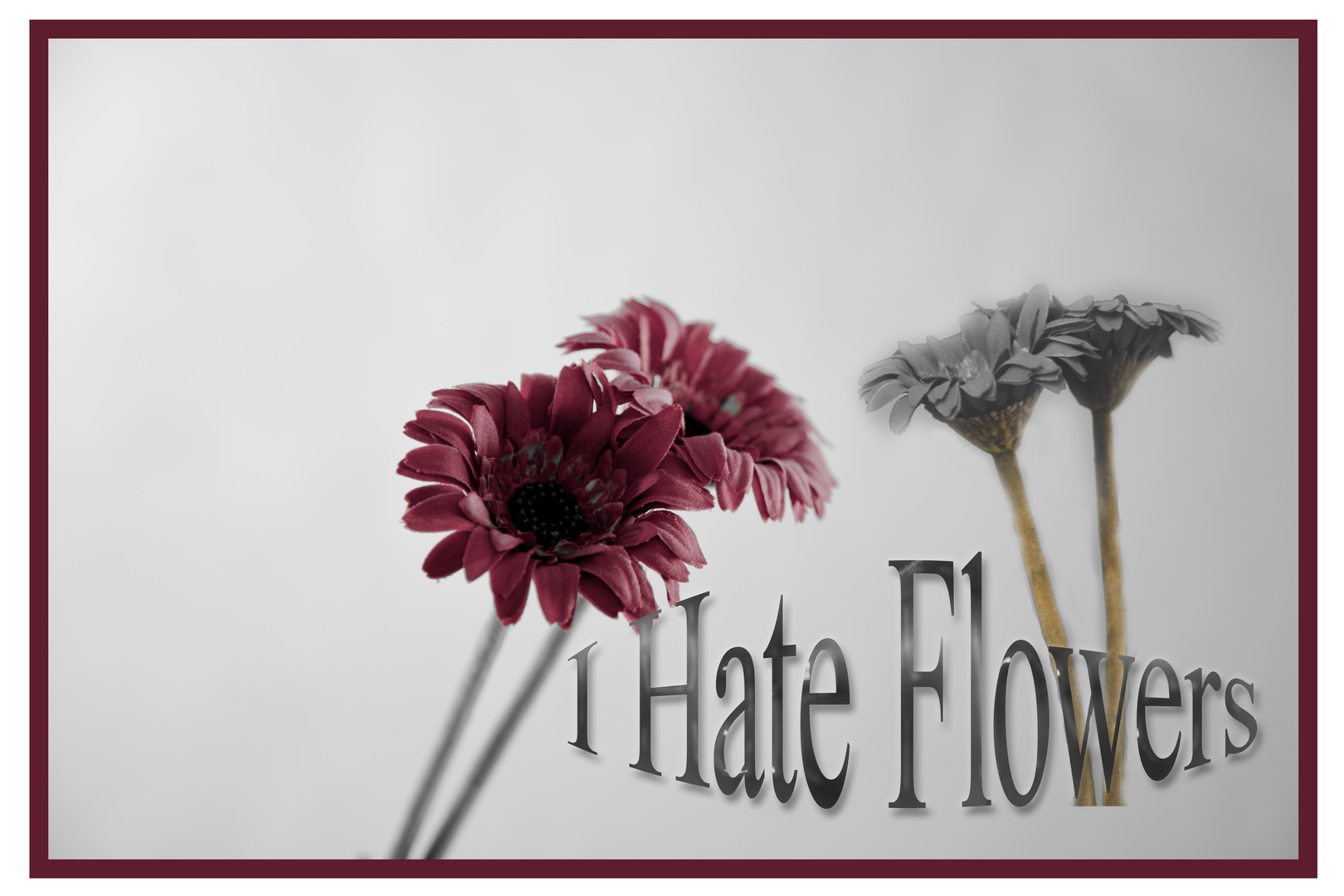 I Hate Flowers