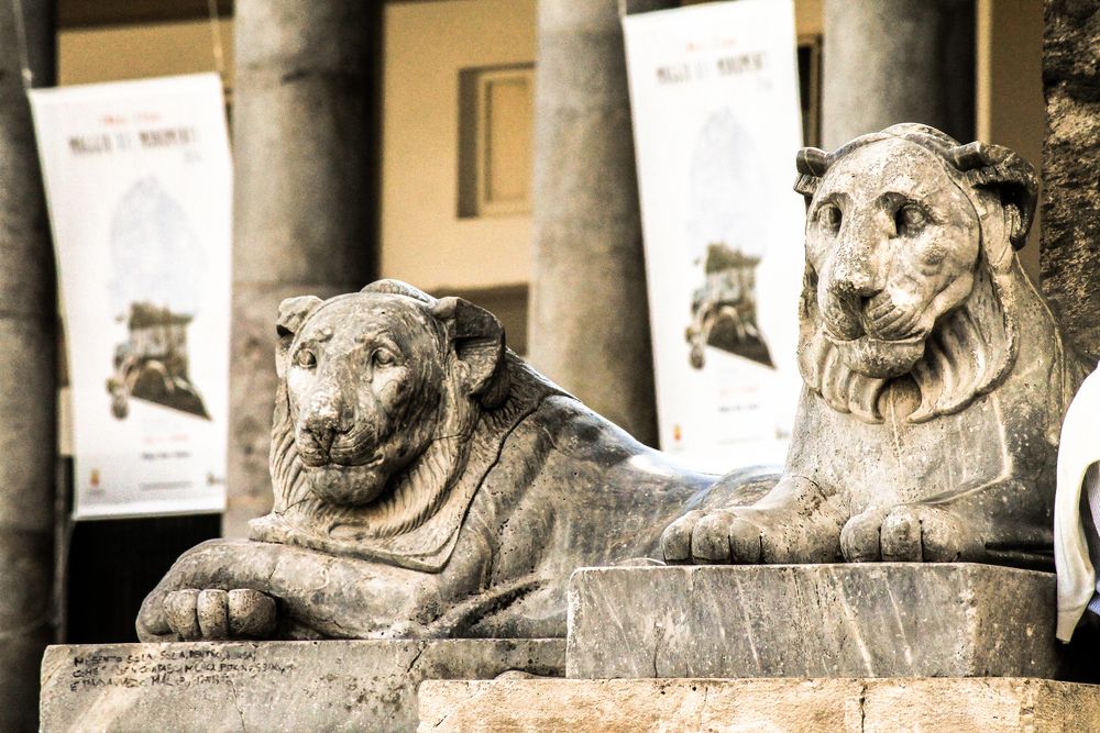 I leoni di Napoli