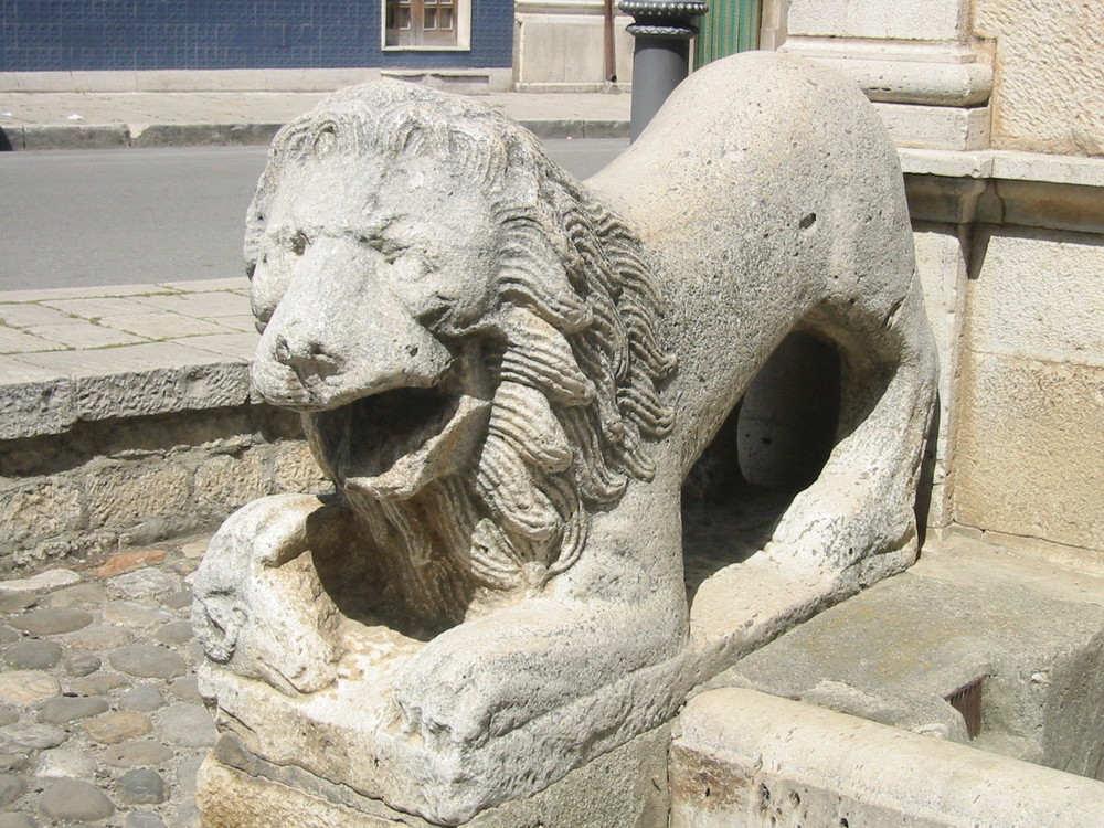 i leoni di Venosa