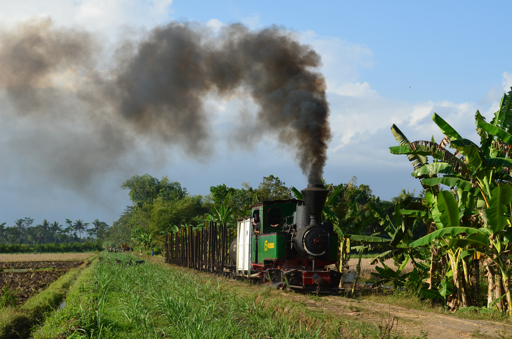 -i-letzte-betriebsfaehige-mallet-auf-java-im-juli-2014-86468152-7d39-4ede-a481-365f5852f91a