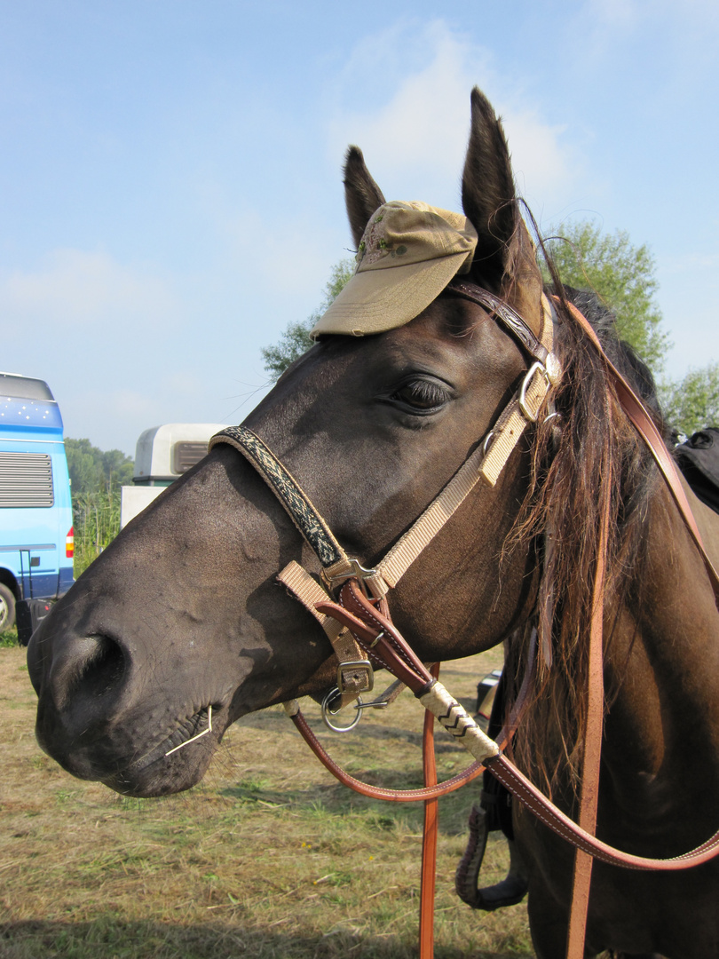 I like my hat!