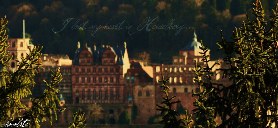 i lost my heart in heidelberg