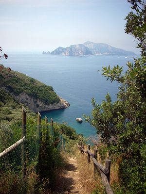 i love capri " da mitigliano"