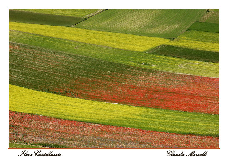 I love Castelluccio