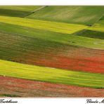 I love Castelluccio