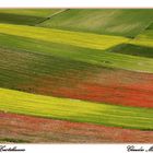 I love Castelluccio