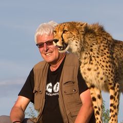 I love cheetahs