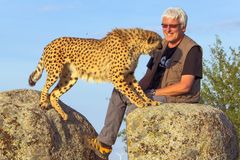 I love cheetahs