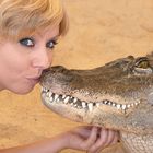 I Love Crocodiles :)