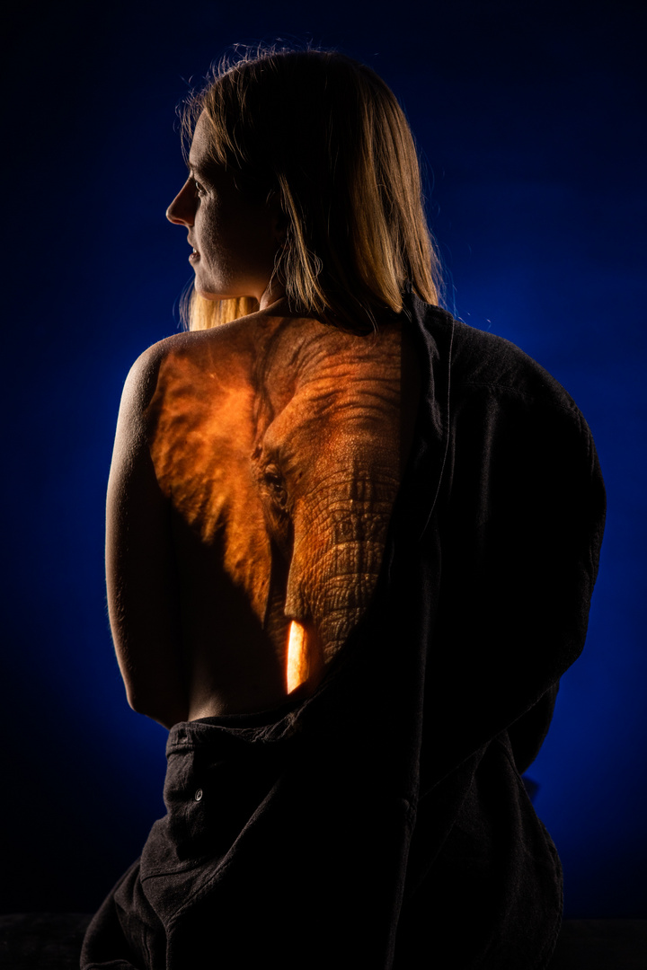 I Love Elephants - Portrait mit Light Painting