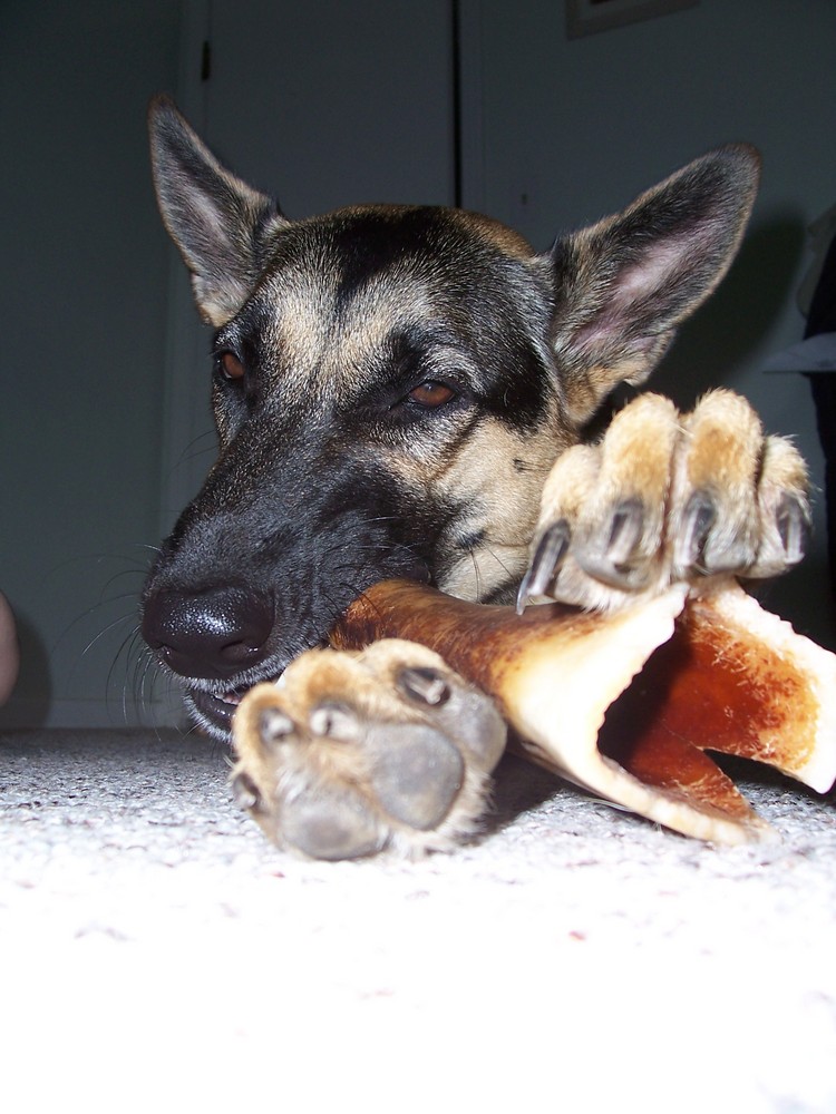 I love my bone!!!