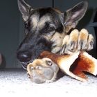 I love my bone!!!