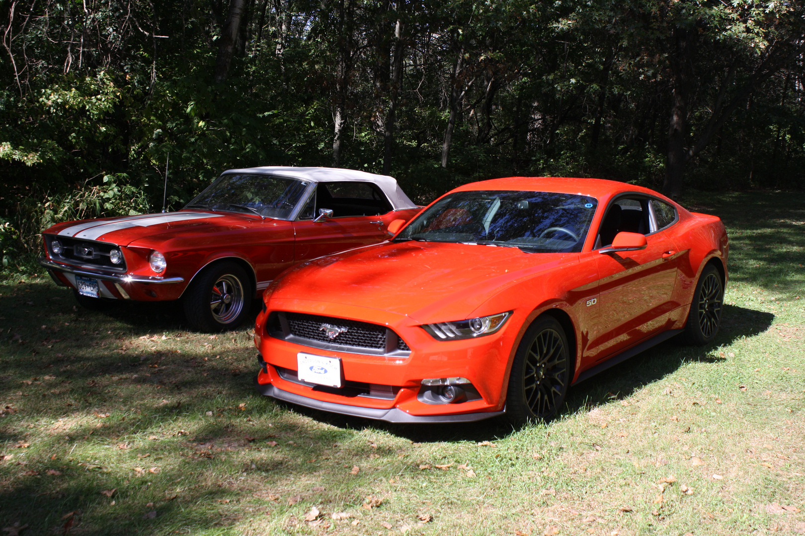 I love my old Mustang and I love my new Mustang.