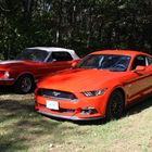 I love my old Mustang and I love my new Mustang.