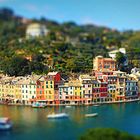 i love portofino