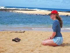 ... I Love The Monk Seal