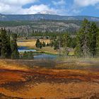 I love the Yellowstone N.P.