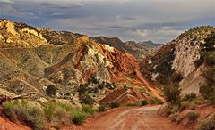 I love this dirt road