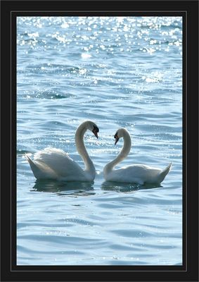 I love you... forever !