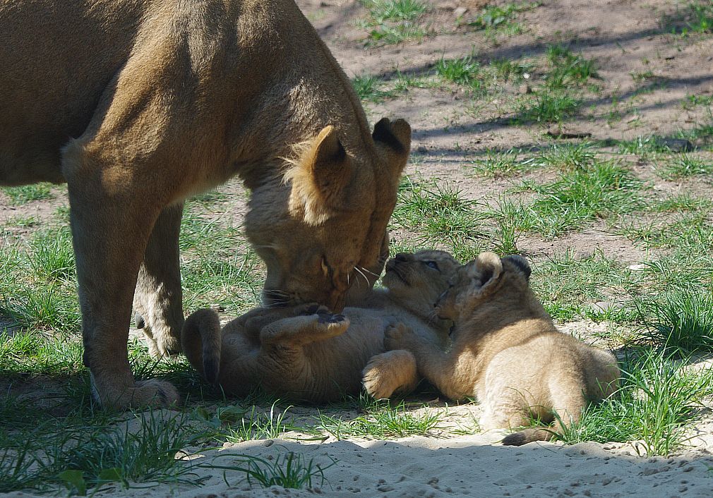 I LOVE YOU MOM...