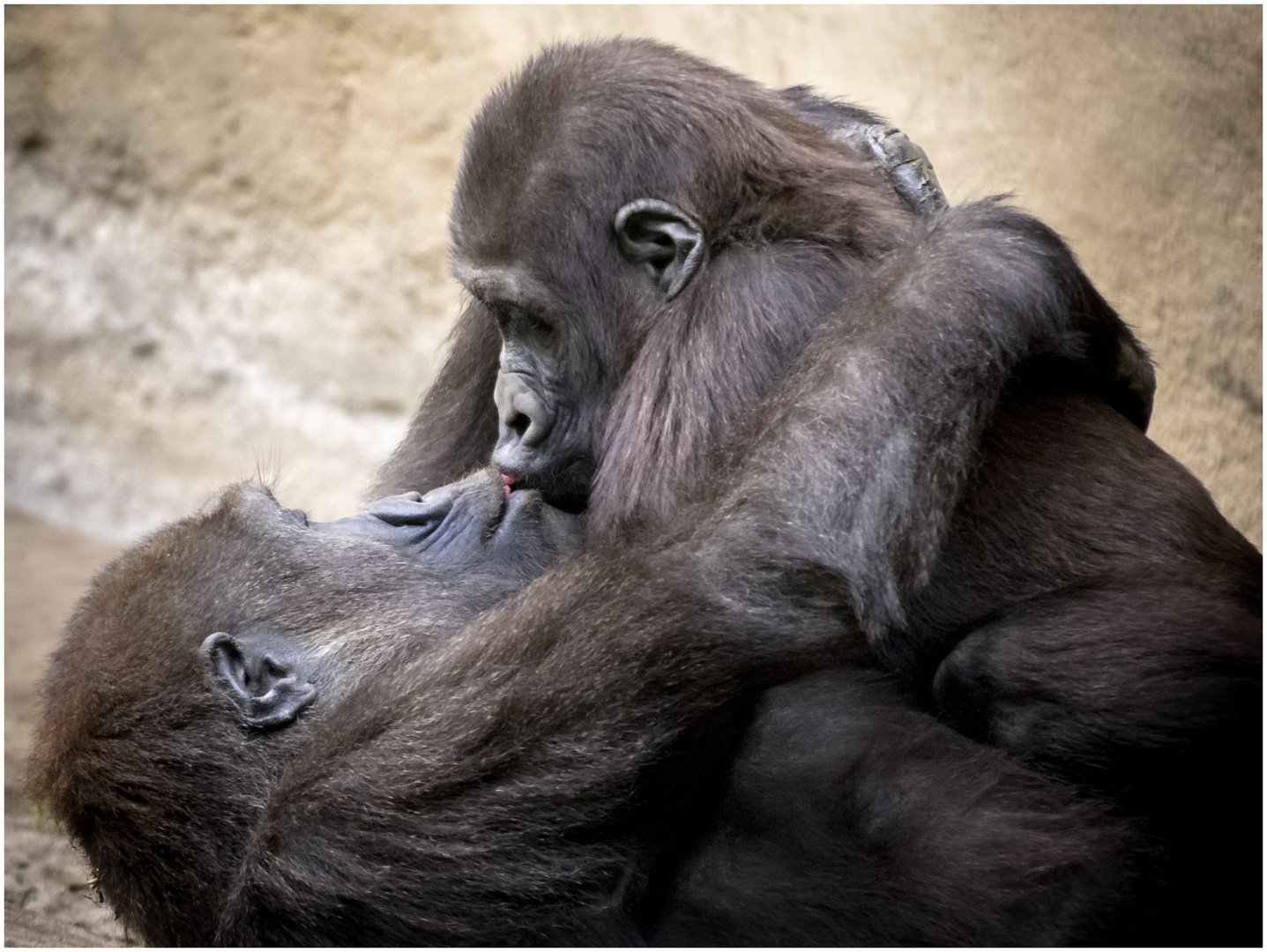 I love you, mom ... I love you too, little monkey