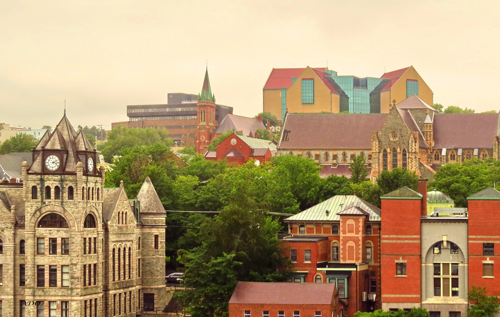 I Loved the Colours of St. John's