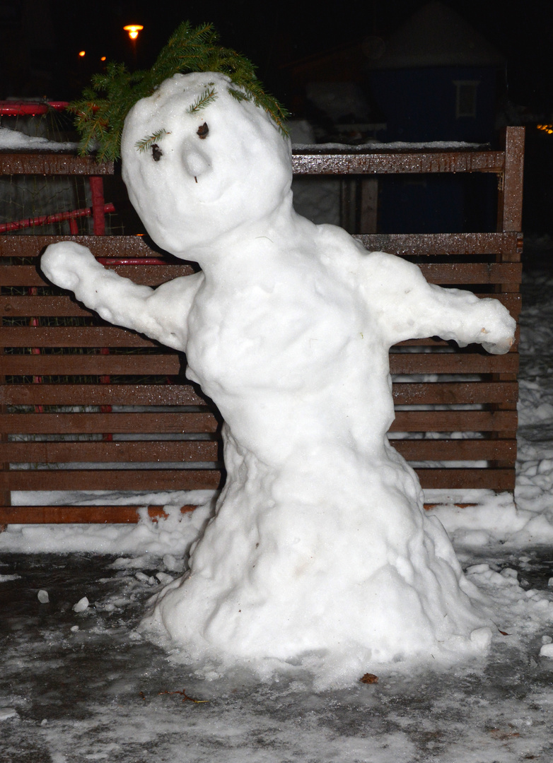 I made the snowman