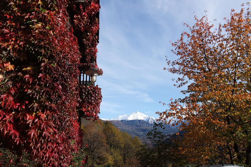 I magici colori dell'autunno