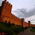 I merli del castello di gradara al tramonto.