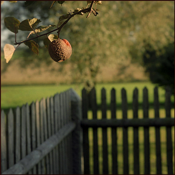 I met Eve in the early evening.