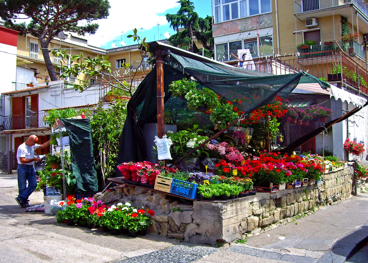 I mille colori di Napoli