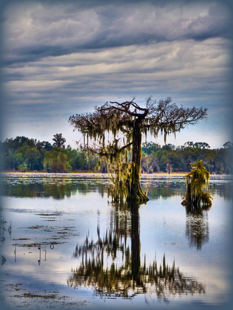 I Miss The Rains Down In Acadiana