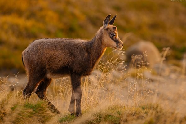 . . i n . d e r . f r ü h . .