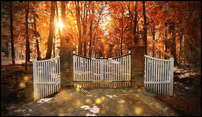 ... i n d i a n ... s u m m e r ...