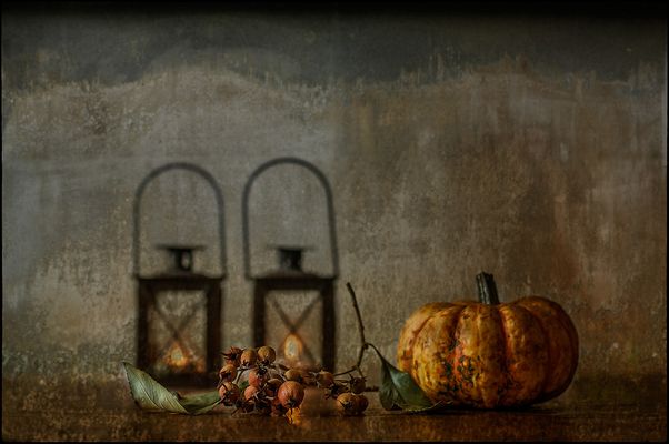 i n t o t h e d a r k