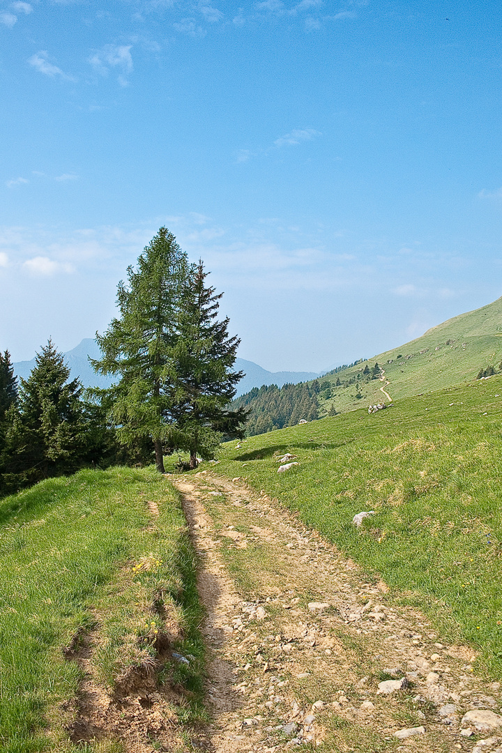 i piani di merino(merlino