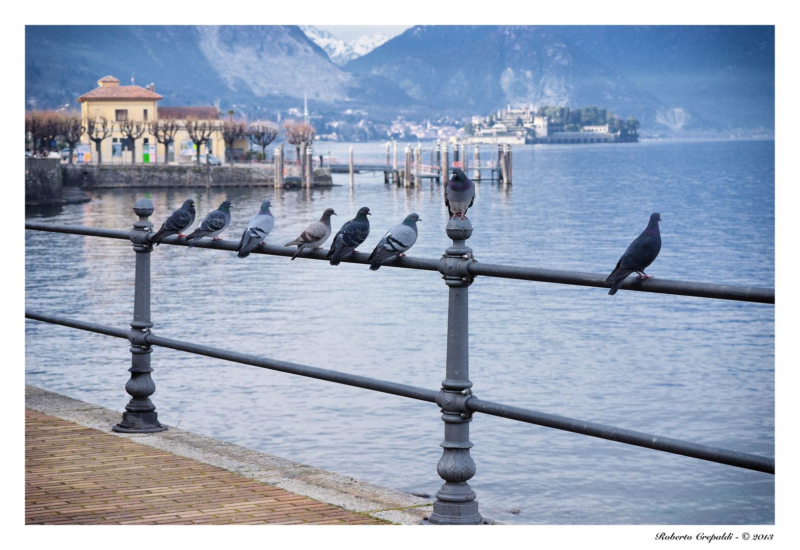 I piccioni di Stresa, lago Maggiore